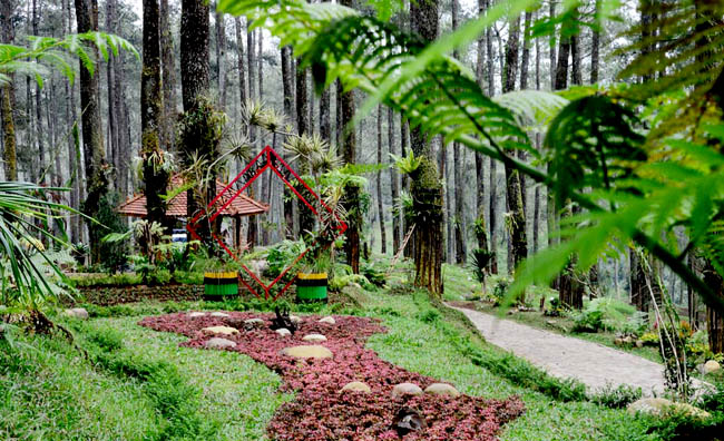 Orchid Forest in Lembang Sub District West Bandung 